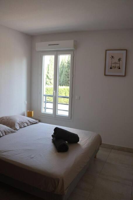 Suberbe Appartement Climatise Avec Terrasse แซ็งต์-ราฟาเอล ภายนอก รูปภาพ